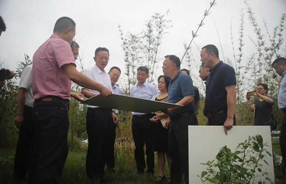 市委常委刘守成同志调研“国宾片区”市政公园及配套设施建设推进情况