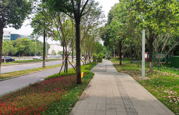 成都羊西线交通有新变化