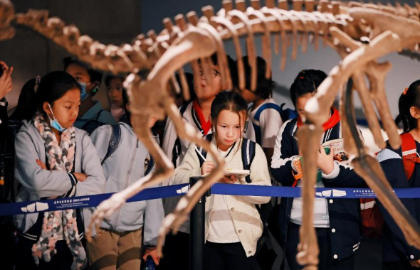 以行践知，逐梦成长丨城投学子“行走的课堂”精彩绽放